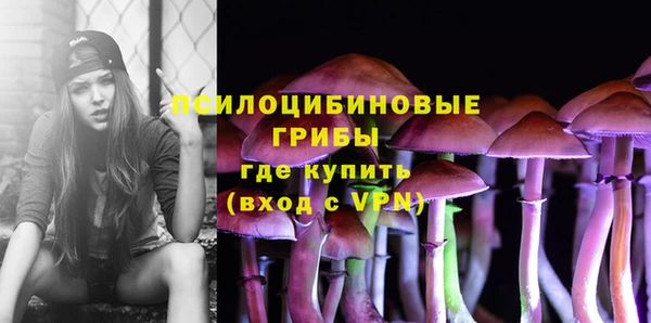 ешки Абаза