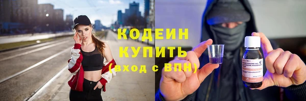 СК Пересвет