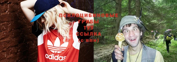 СК Пересвет
