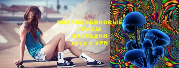 МДПВ Абинск