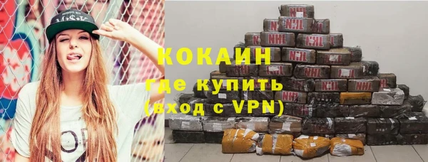 СК Пересвет