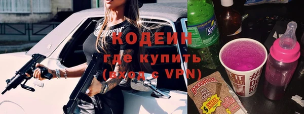 СК Пересвет