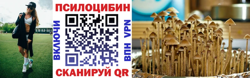 Галлюциногенные грибы Psilocybe  мориарти как зайти  Тбилисская  ссылка на мегу ТОР 